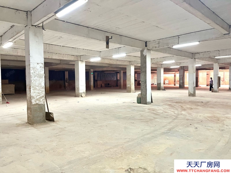 (出租) 梅州梅江环城路五里亭2000平方，标准设备仓库出租