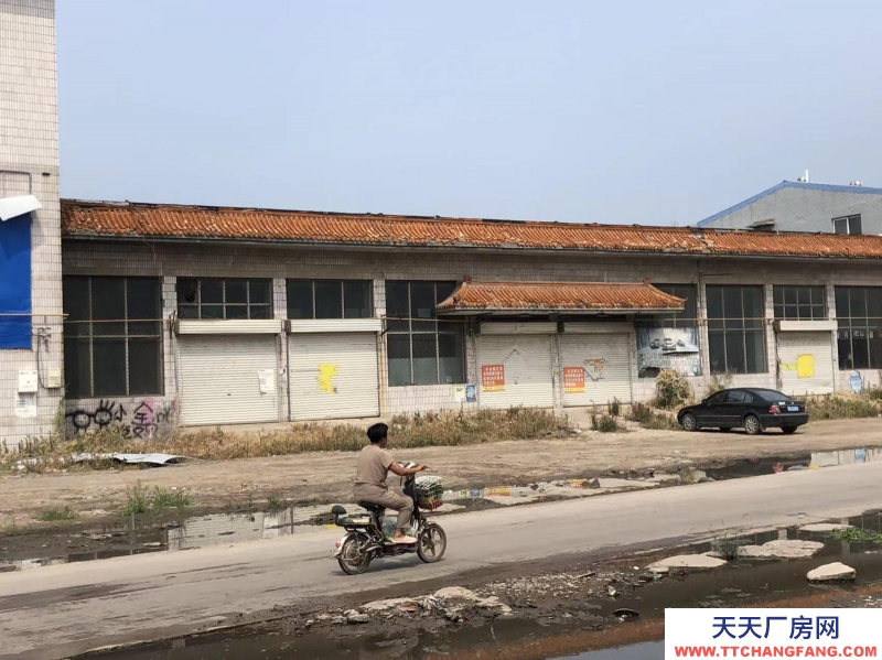 邢台 临西  速冻食品厂房(出租) 出租临西临西城区河西镇汽车站院落
