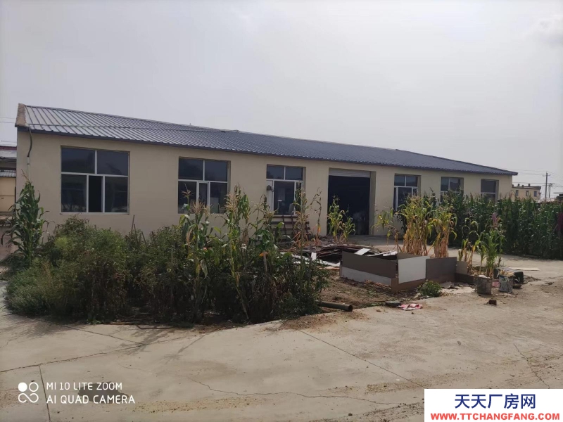 (出租) 赛罕区曙光村 独门独院，适合办厂子。
