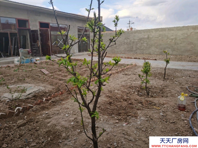 (出售)赛罕蔬菜加工 环境好空气新鲜院子里可种菜