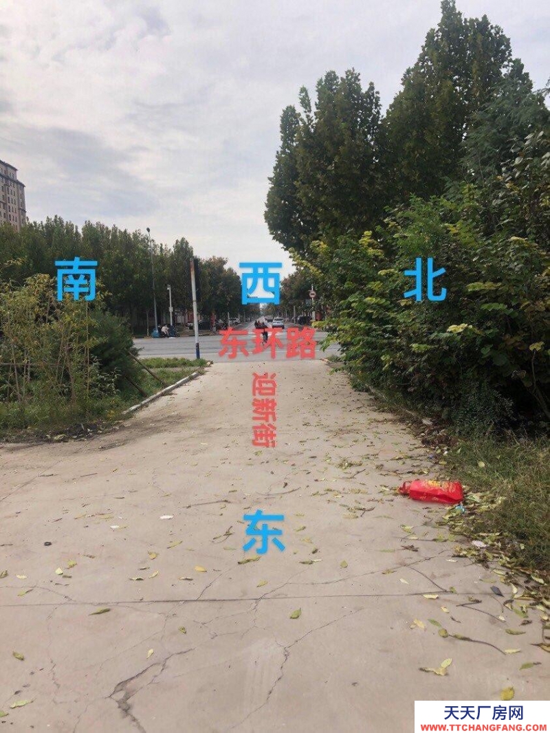 邢台 沙河 (出租) 东环路与迎新街交叉口