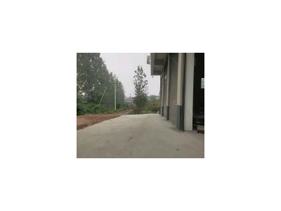 (出租) 周口扶沟马家场西新县医院东邻图1
