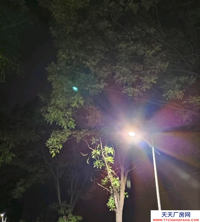 (出租) 新城仓库低价出租车库交通方便
