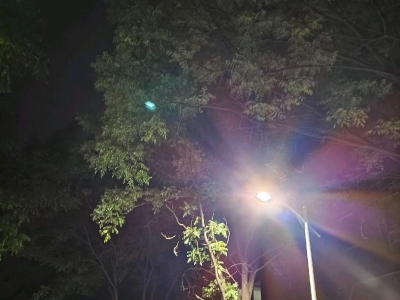(出租) 新城仓库低价出租车库交通方便图1
