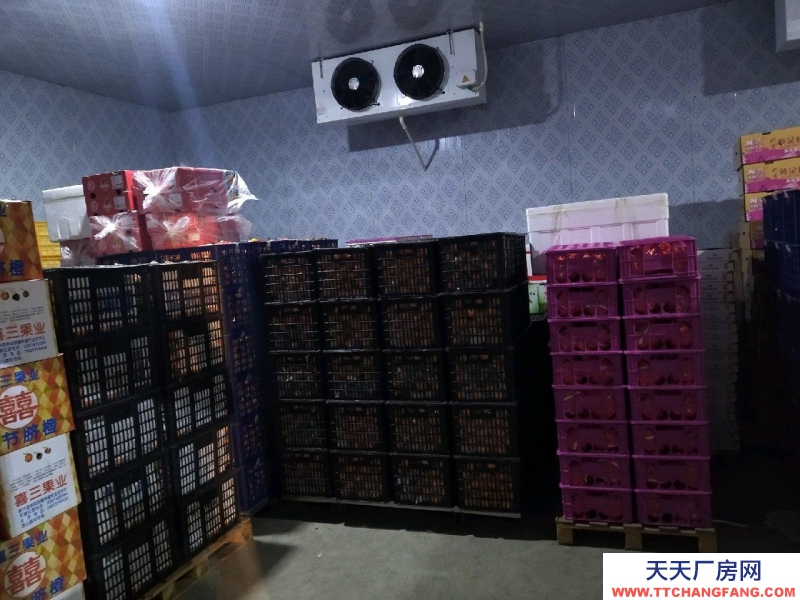 (出租) 玉泉出租冷库、恒温库、水果蔬菜库、货物托管、仓库代管