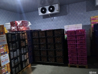 (出租) 玉泉出租冷库、恒温库、水果蔬菜库、货物托管、仓库代管图1