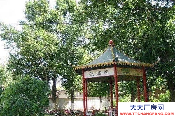香坊200至1100米常温库1000米暖库紧邻市中心仓储国企出租
