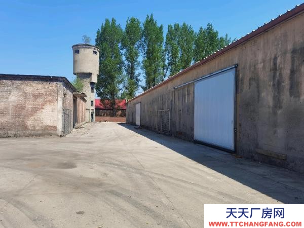 香坊出租库房21000㎡。场地30000㎡。两栋办公楼。