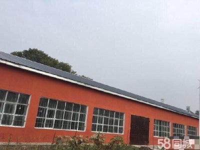松北烟厂附近两套厂房库房图1