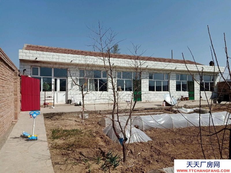 张家口 桥东食醋厂房 (出售) 低价出售一亩院6间房8米入深，南边彩钢房，上下水，