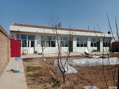 张家口 桥东食醋厂房 (出售) 低价出售一亩院6间房8米入深，南边彩钢房，上下水，图2