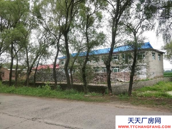 松北急售饮料厂房价格面议地理位置优越
