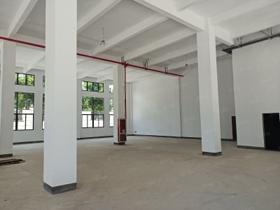金华市婺城(出租) 独栋精工厂房。带露台。电梯。整体出租图2