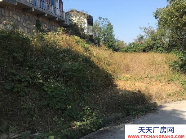 娄底市新化酒厂  厂房面积约2万平方米