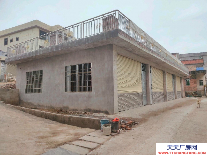 (出租) 梅州五华自建仓库，450方混泥土店铺，350方钢结构可做食品仓库