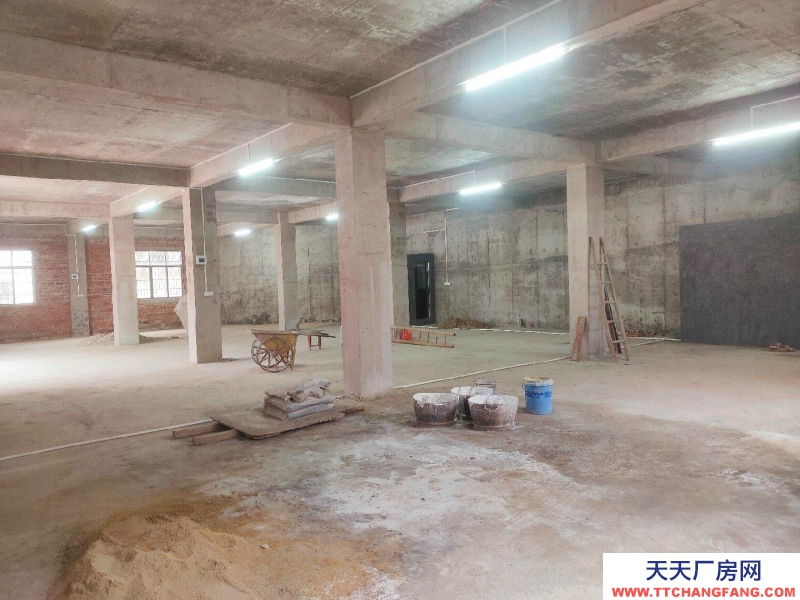 (出租) 梅州五华自建仓库，450方混泥土店铺，350方钢结构可做食品仓库