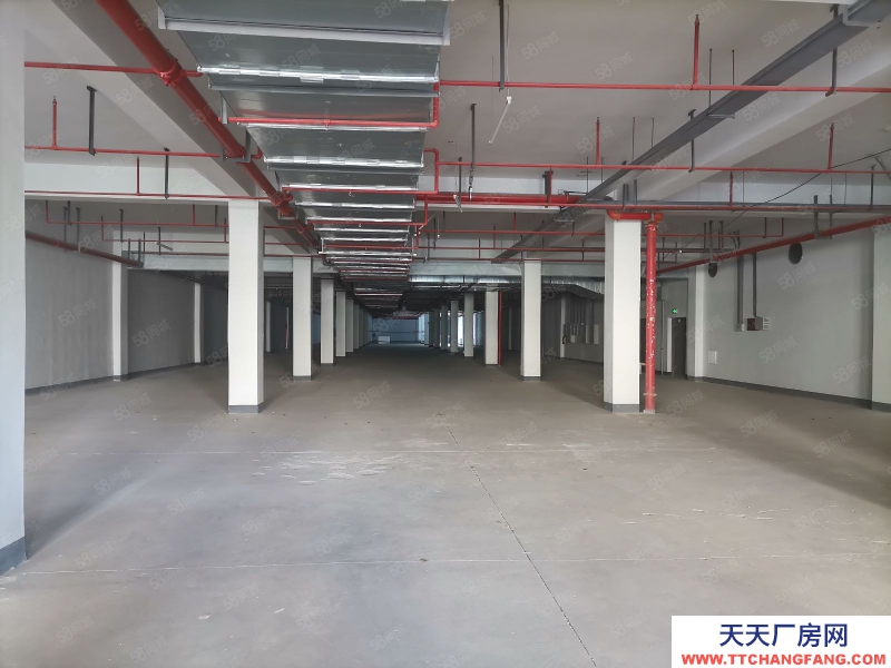 金华市婺城(出租) 全新半地下仓库通风采光好