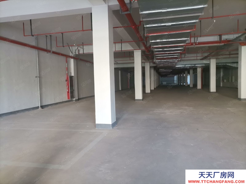 金华市婺城(出租) 全新半地下仓库通风采光好