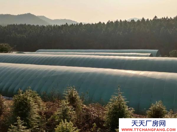 娄底市冷水江养殖厂房 亏本急售。有意者请联系我