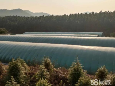 娄底市冷水江养殖厂房 亏本急售。有意者请联系我图1