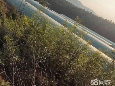 娄底市冷水江养殖厂房 亏本急售。有意者请联系我图2