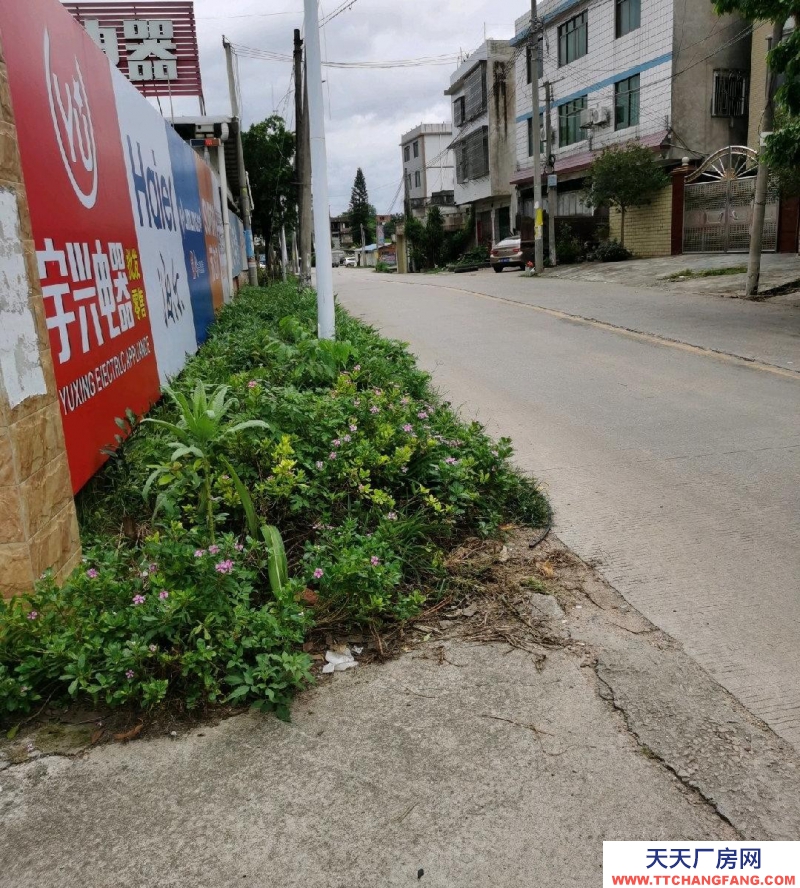 (出租) 梅州兴宁保健院到北环路（新国道）中间电器仓库