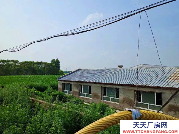 哈尔滨呼兰区独门独院5400米养殖场出租出售，养猪场猪舍租售