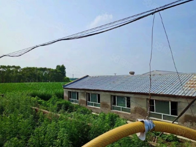 哈尔滨呼兰区独门独院5400米养殖场出租出售，养猪场猪舍租售图1