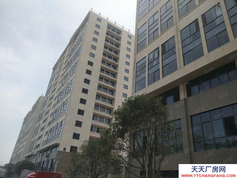 金华市婺城(出售) 金华经济开发区标准园区厂房 单层1080平 5层 可分层出售