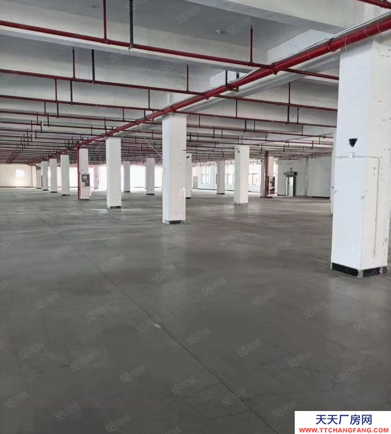 金华市金东(出租) 傅村标准厂房一楼1000平，院子大，招工方便，价格便宜位置好