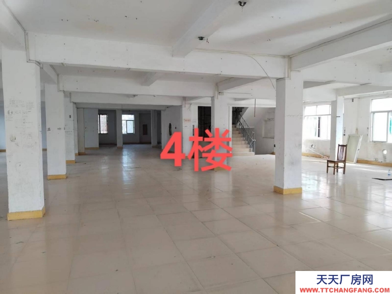 (出租) 汕尾城区可做仓库办公楼