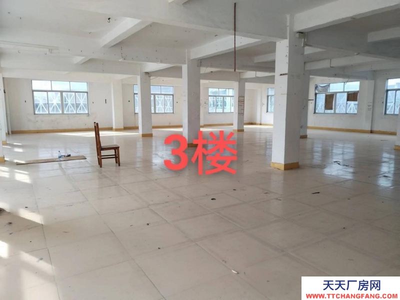 (出租) 汕尾城区可做仓库办公楼