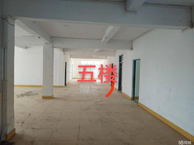(出租) 汕尾城区可做仓库办公楼图4