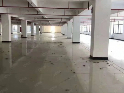 金华市金东(出租) 鞋塘标准厂房楼上3000平，院子宽敞，配套齐全图1