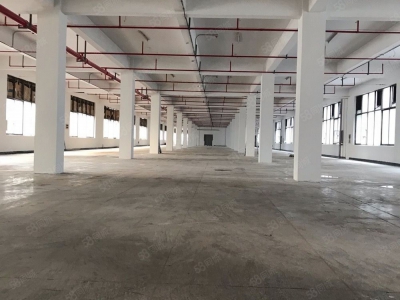 金华市金东(出租) 鞋塘新建独栋厂房一楼6000平带装卸货平台无税收要求图2