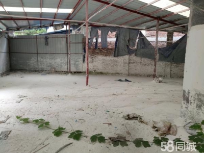娄底市涟源物资仓库 开成商业广场附近，交通方便图1
