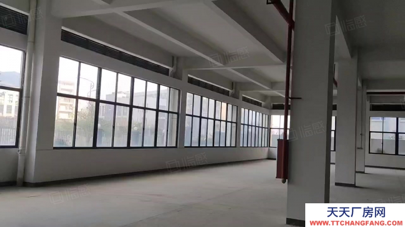 (出租) 汕尾海丰深汕合作区管委会大型仓库， 叉车可进出，大型楼库仓库