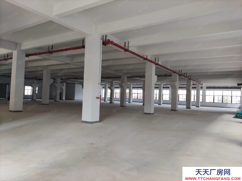 (出租) 汕尾海丰深汕合作区管委会大型仓库， 叉车可进出，大型楼库仓库