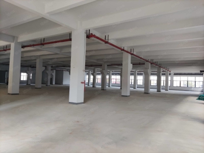 (出租) 汕尾海丰深汕合作区管委会大型仓库， 叉车可进出，大型楼库仓库图2