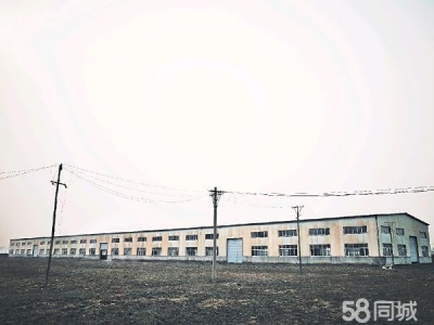 呼兰区长岭镇小王岗村调味品厂房场地出售图1