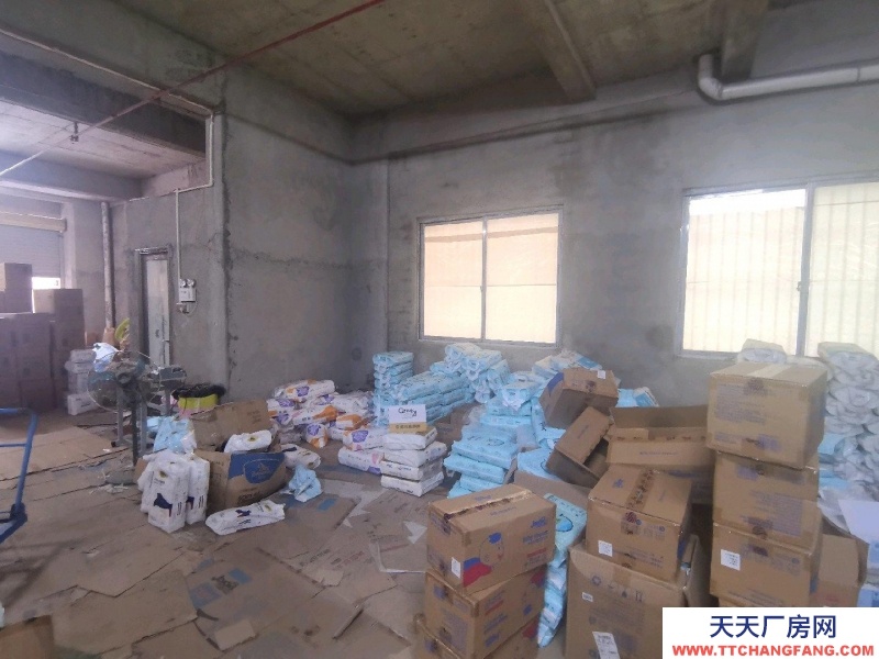 (出租) 汕尾海丰仓库或小型加工厂及电商办公，前巷通道8米宽，交通方便物流仓库