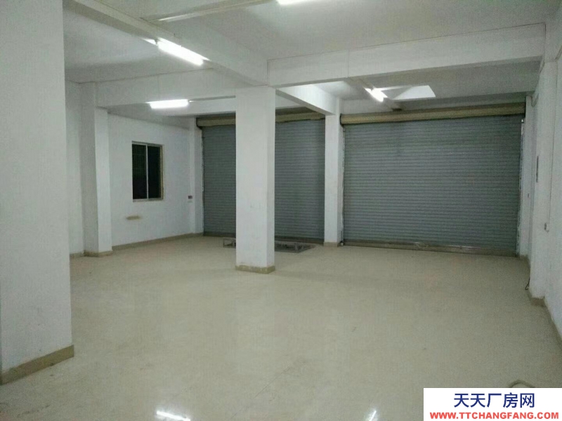 (出租) 汕尾海丰仓库可做铺面、住宅、工作室、画画班、仓库厂房、办公等