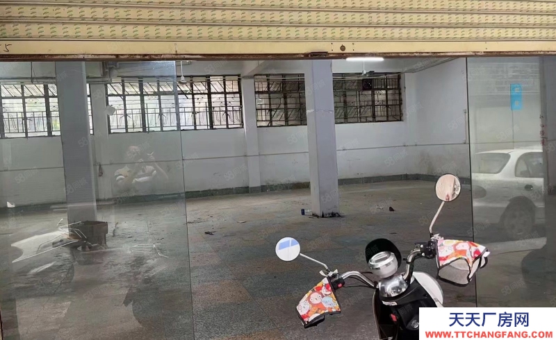 (出租) 汕尾陆丰出租红卫市场仓库 位置重点 路道方便可做底商