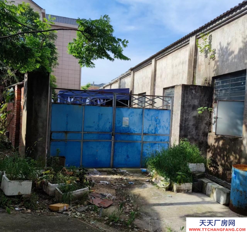 金华市金东(出租) 出租沿路330国道和二环线交汇处厂房400平