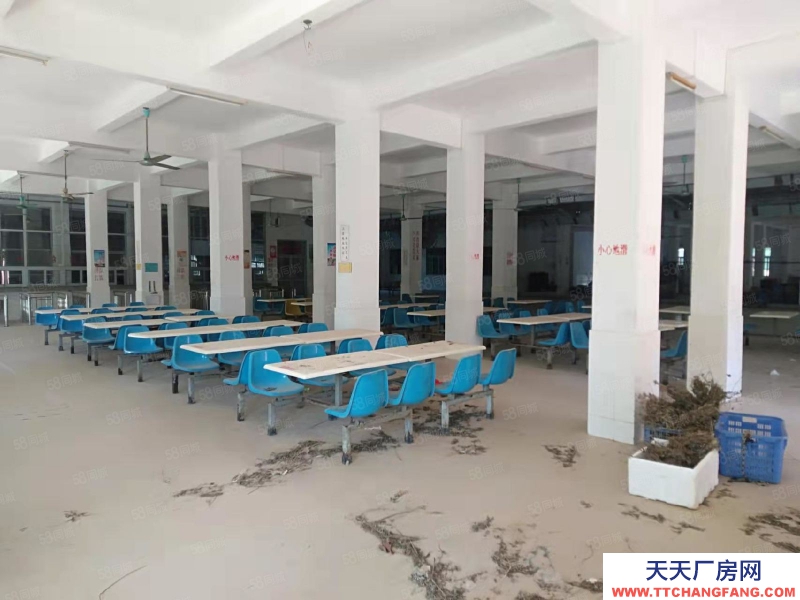 (出租) 汕尾城区标准厂房建筑物2万平方，食堂，宿舍，总场地9万平方可做学校、物流