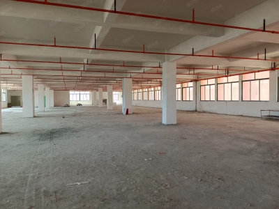 (出租) 汕尾城区标准厂房建筑物2万平方，食堂，宿舍，总场地9万平方可做学校、物流图3