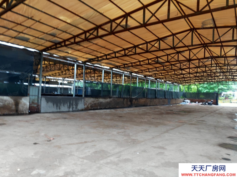 金华市金东(出租) 出租上海财经大学大学旁仓库，出入方便