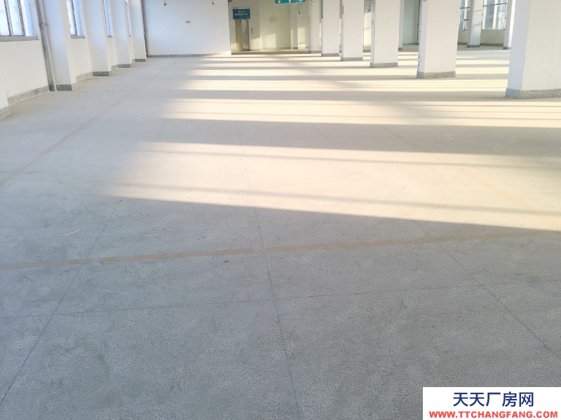 (出租) 汕尾城区东涌附近厂房3000平方一层1100平可分层租，可做培训机构
