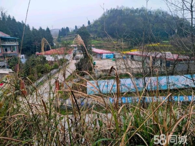 湘西市凤凰机加工厂房 交通方便，混泥土地面。图4