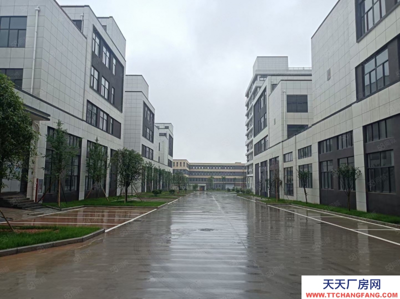 金华市金东(出售) 现房3层半户型，超宽主路，进出方便，位置优越，先到先得印刷 注塑 小加工